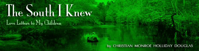 The South I Knew: Letters to My Children - by Christian Monroe Holliday Douglas